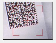 immagine webcam con codice errato