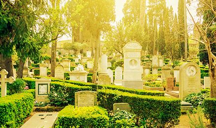servizio Torinofacile - ricerca nella banca dati cimiteriale